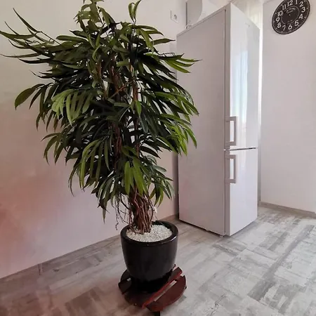 Orange Apartment-brilliant Апартаменты
