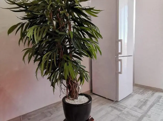 Orange Apartment-brilliant アパート